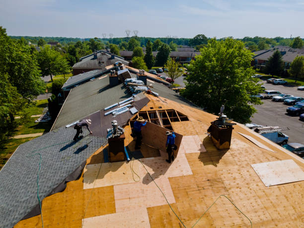 Best Commercial Roofing Services  in Bevil Oaks, TX